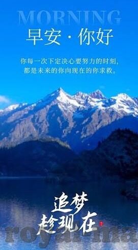 大象视频看黄网站-大象视频，网络世界的另一面
