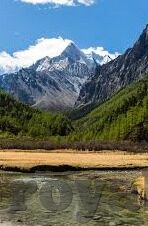 麻豆传媒,app下载-麻豆传媒APP——沉浸式互动体验的探索与反思