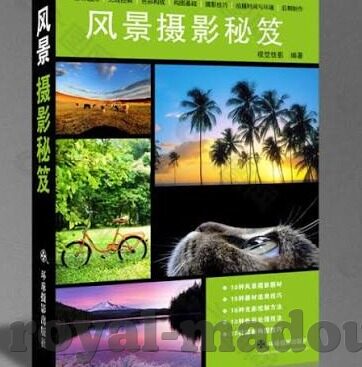 麻豆视频app-不凡之舟，麻豆视频app的数字化娱乐新纪元