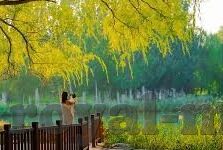 妻欲:人妻俱乐部-妻欲与人妻俱乐部的微妙平衡