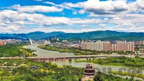 色八区人妻在线视频-探索网络内容多样性的边界，色八区人妻在线视频的背后