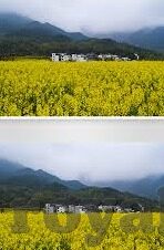 糖心app官方下载苹果-便捷生活新选择，体验糖心App官方下载在苹果设备上的独特魅力