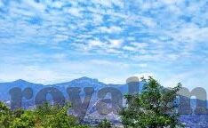 糖心app聊天交友-糖心APP，构建温馨的交流空间