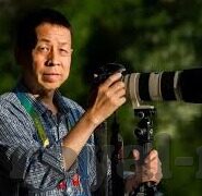 天美传媒视频麻豆-解锁数字时代的娱乐新窗口，天美传媒视频与麻豆的创意跨界之旅