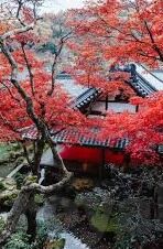 亚洲日韩一区二区三区四区高清-亚洲文化与影视的多元视角，日韩影视作品的地域特色