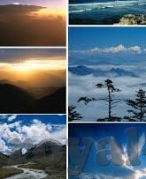 中文在线一区二区-探索中文在线一区二区的多元发展路径